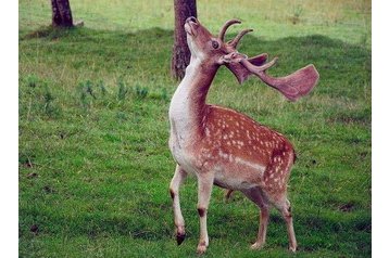 Slovacia Chata Veľké Rovné, Exteriorul